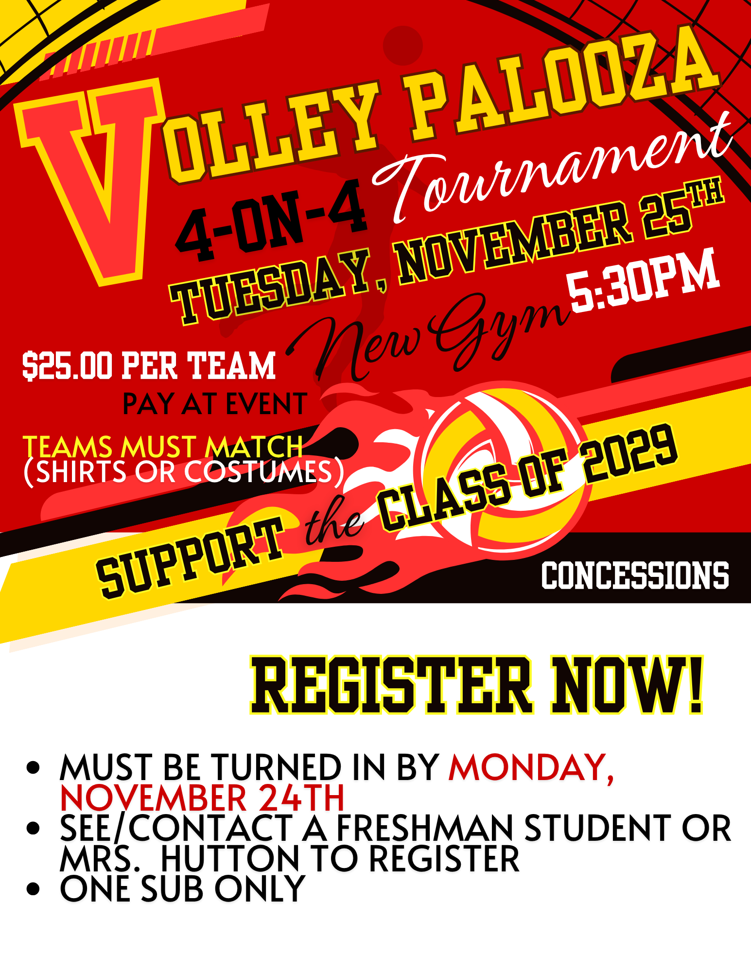 Volley Palooza
